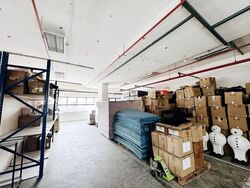 Loyang Industrial Estate (D17), Factory #611009311